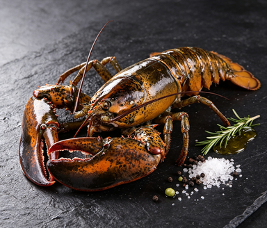 Royal Maine Lobster