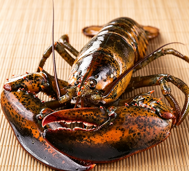 Royal Maine Lobster