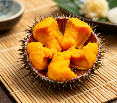Delicate Sea Urchin Roe