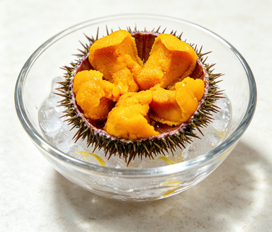 Delicate Sea Urchin Roe